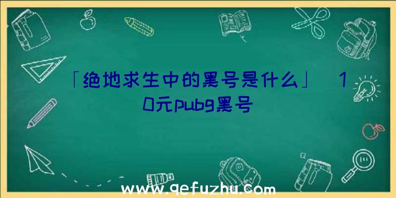 「绝地求生中的黑号是什么」|10元pubg黑号